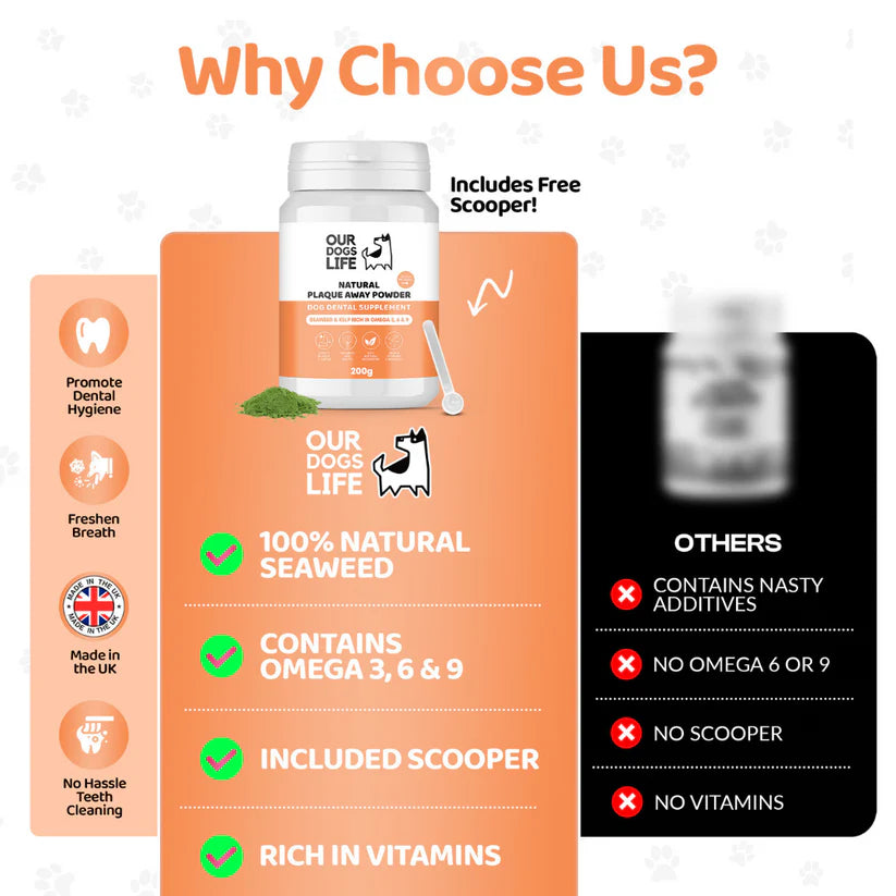 Our Dogs Life Natural Plaque Powder