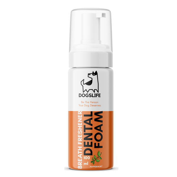 Dental Foam - 100ml