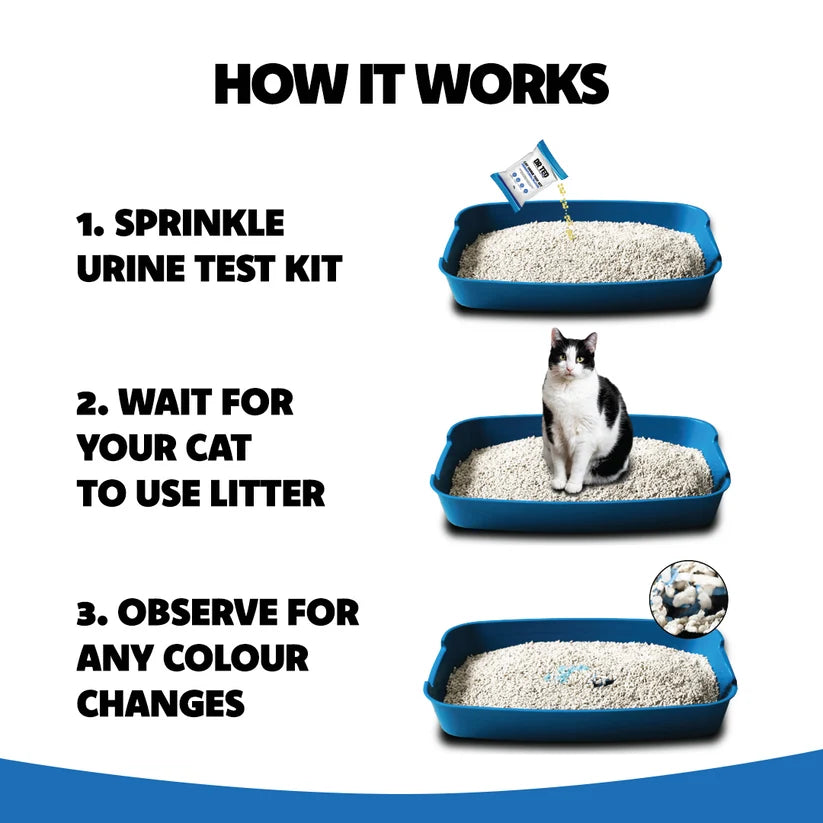 Dr. Ted Cat Urine Test- Hematuria/Blood