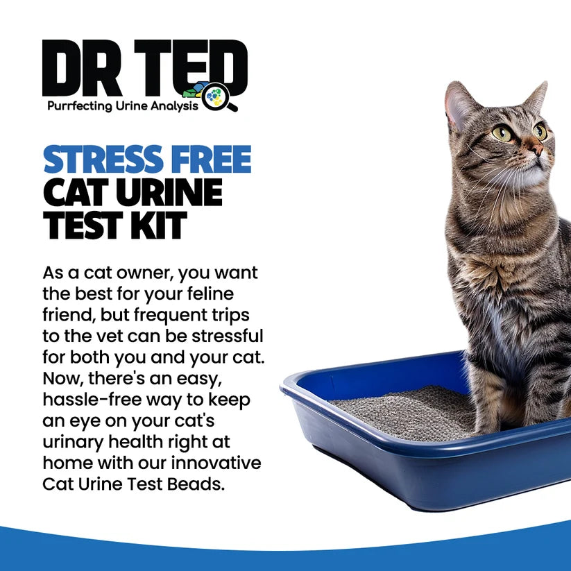 Dr. Ted Cat Urine Test- Hematuria/Blood