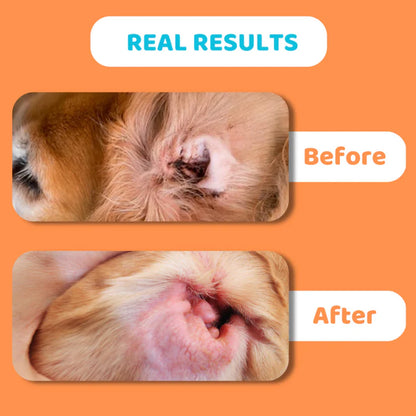 Ear Wipes