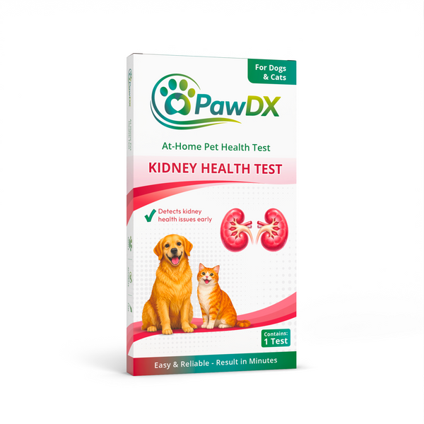 At-Home Kidney Test