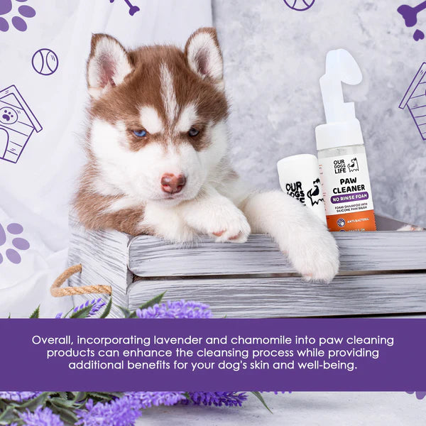 Paw Cleaner Foam With Towel