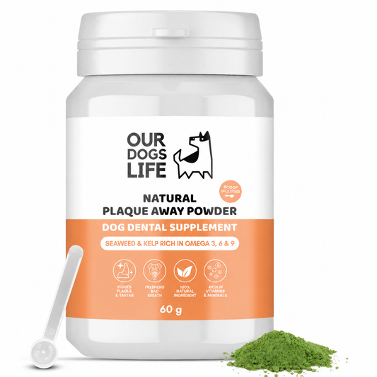 Our Dogs Life Natural Plaque Powder - 60g