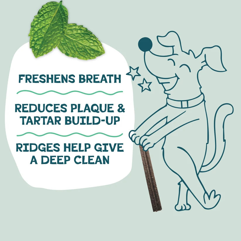 Shameless Pets Dental Sticks - Mighty Mint