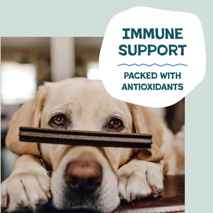 Shameless Pets Dental Sticks - The Tooth Berry