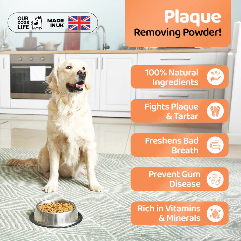 Our Dogs Life Natural Plaque Powder