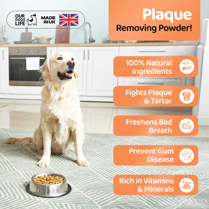 Our Dogs Life Natural Plaque Powder
