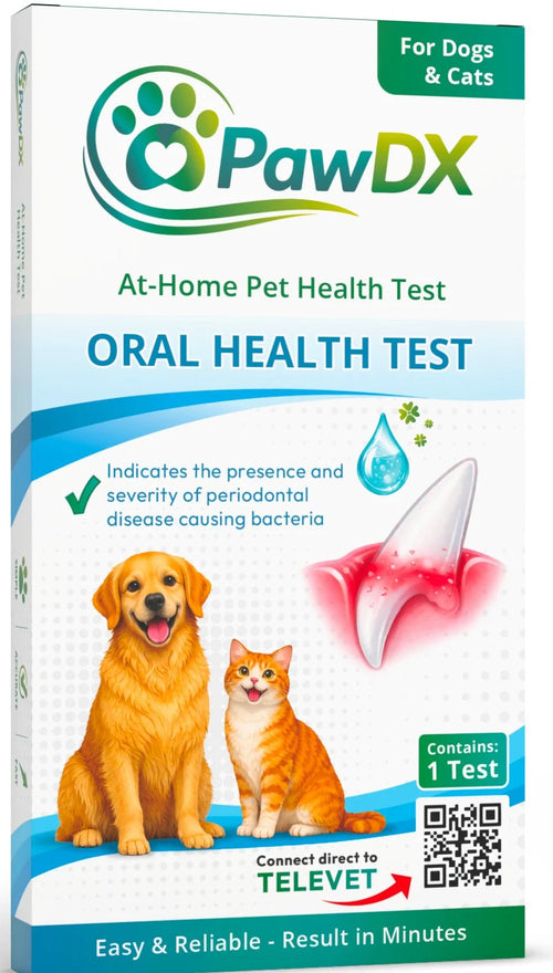 Oral Health Test