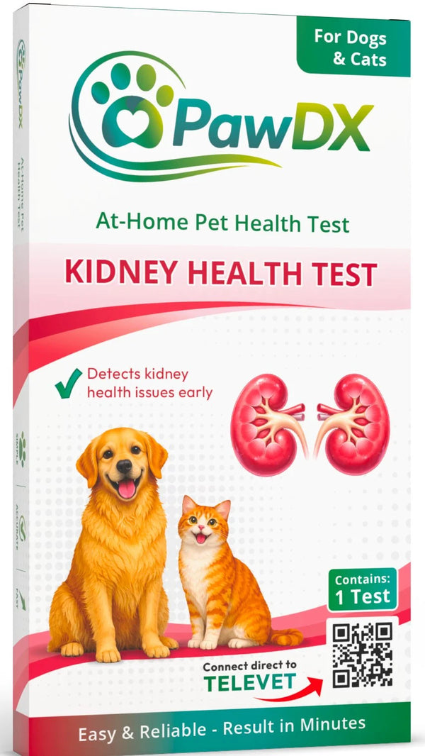 Kidney Health Test