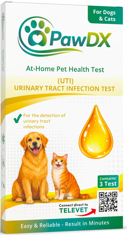 UTI Test