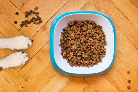 Chicken Recipe Dry Dog Food
